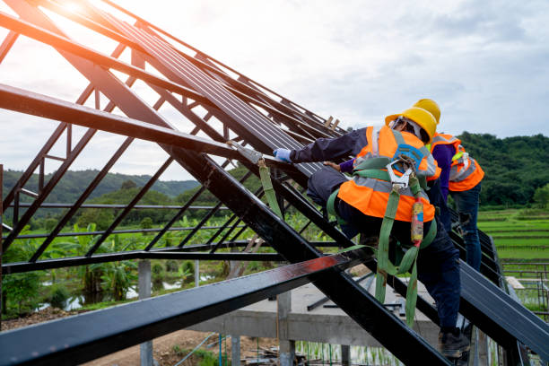 Best Local Roofing Companies  in Lake Forest Park, WA